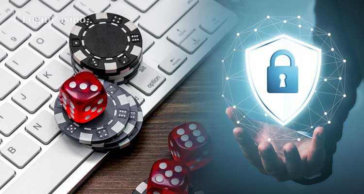 Explore the Thrills of WildWild Casino & Sportsbook Explore the Thrills of WildWild Casino & Sportsbook