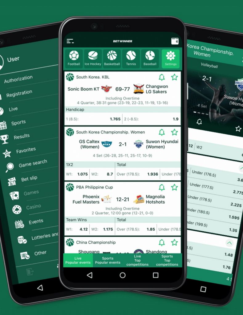 Apostas Online Betwinner no Brasil